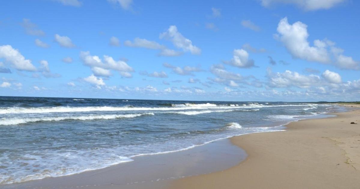 גדנסק Apartament Mlynowka מראה חיצוני תמונה